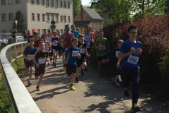 Der Lauf - alle geben ihr Bestes.